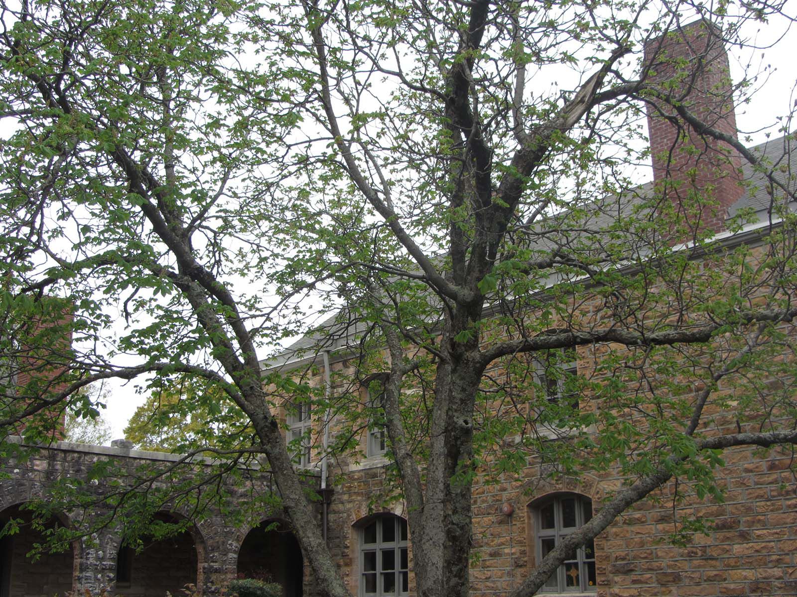 St. Michael’s church